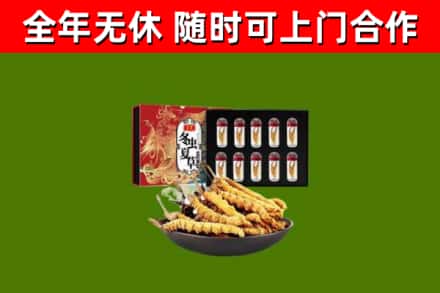 伊州回收冬虫夏草价格